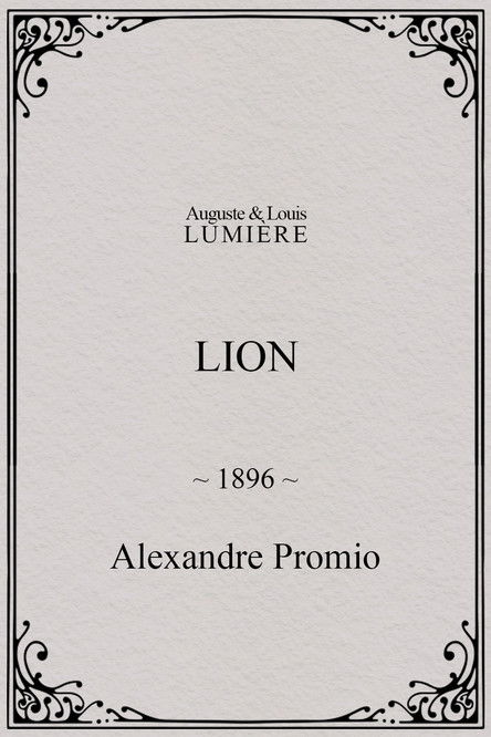 Lion, London Zoological Gardens