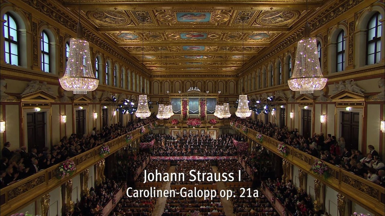 New Year's Concert 2014