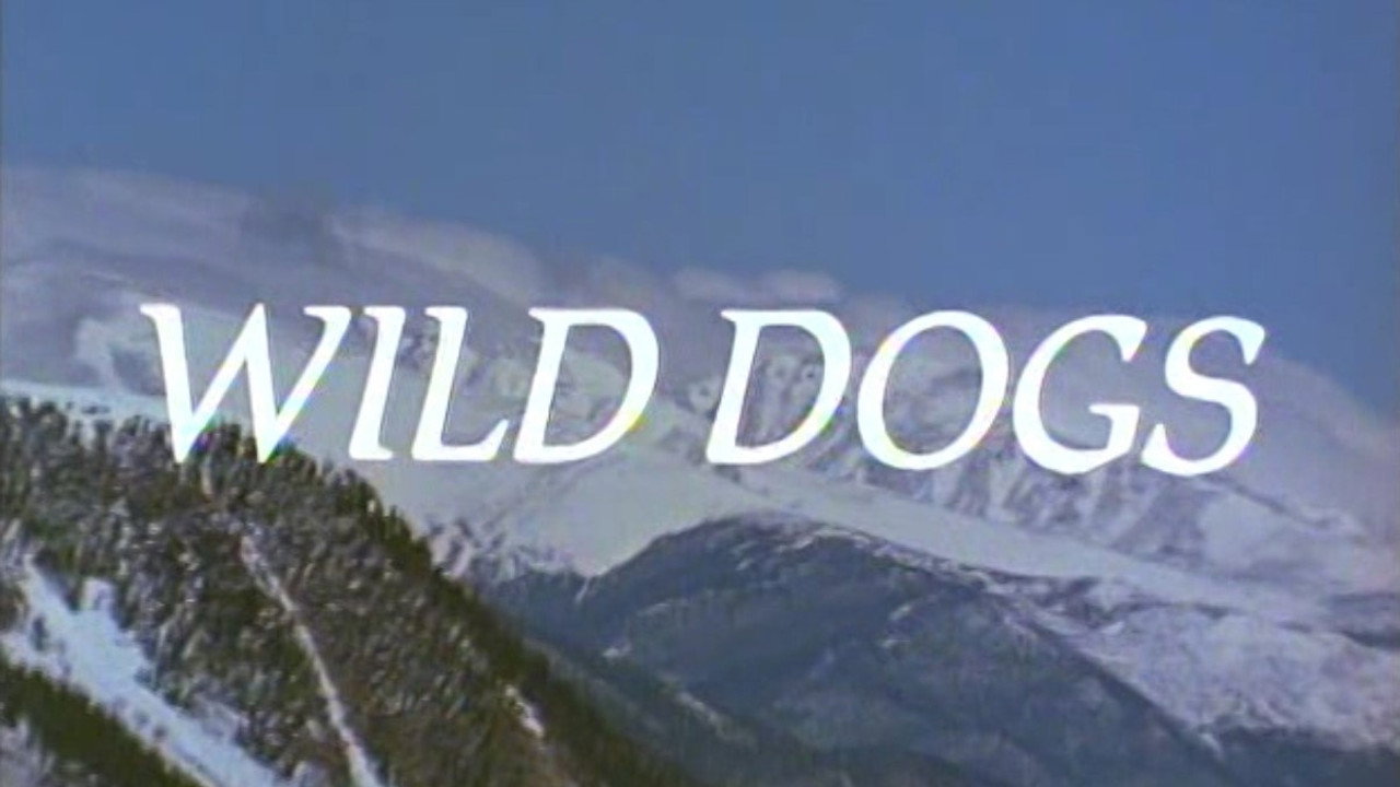 Wild Dogs