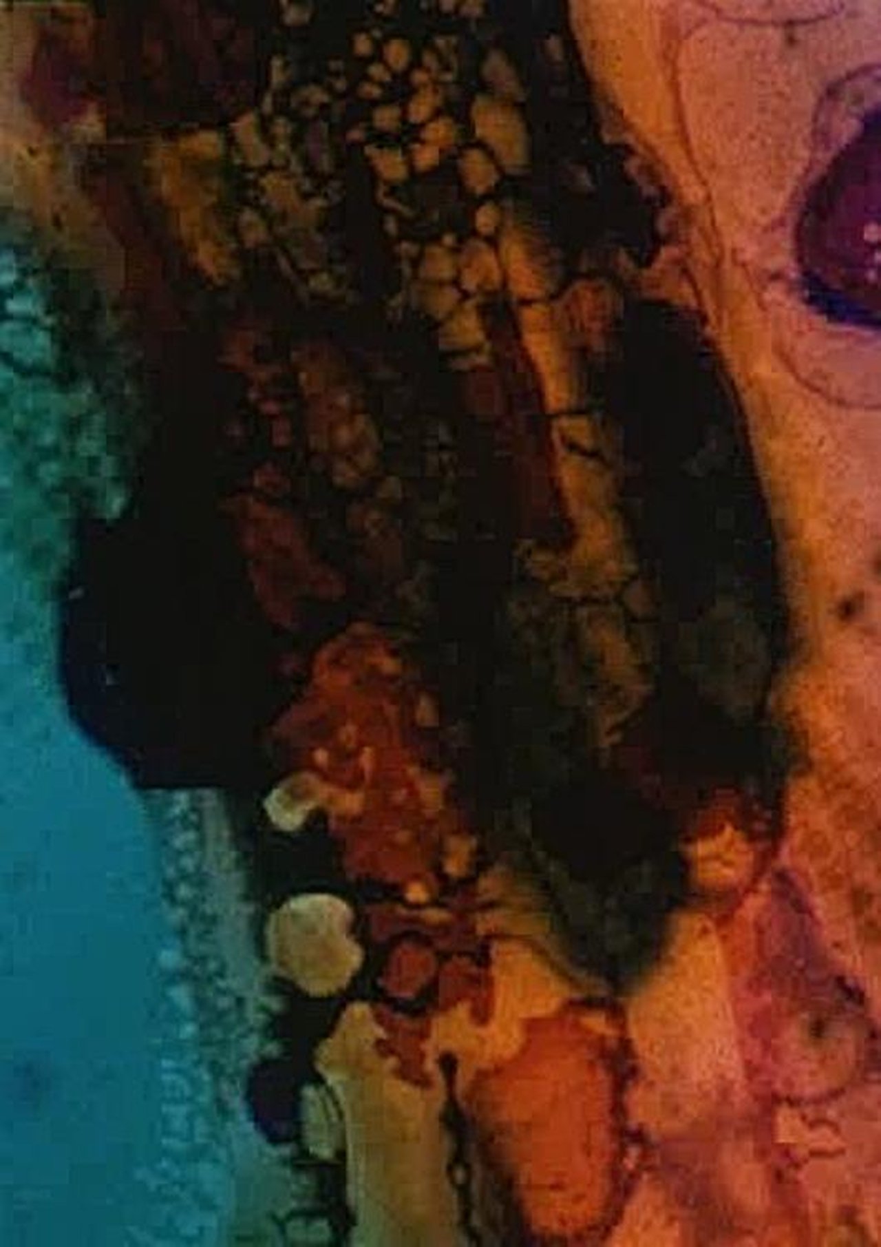 enlarged Poster 0
