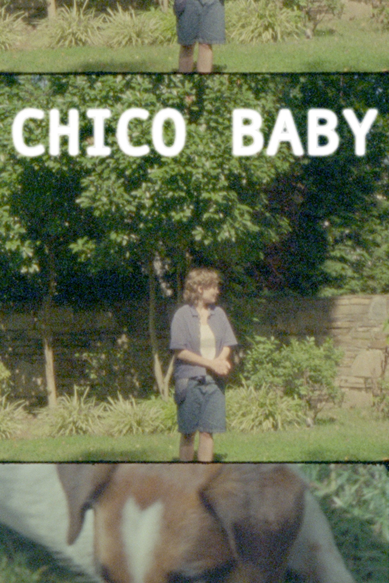 Chico Baby