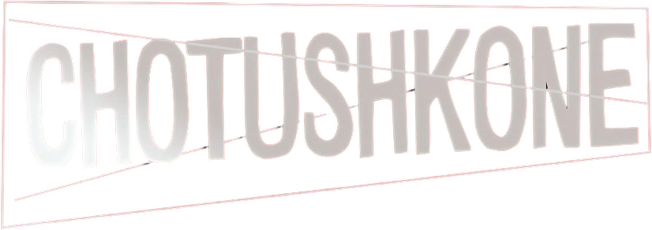 enlarged Logo 0