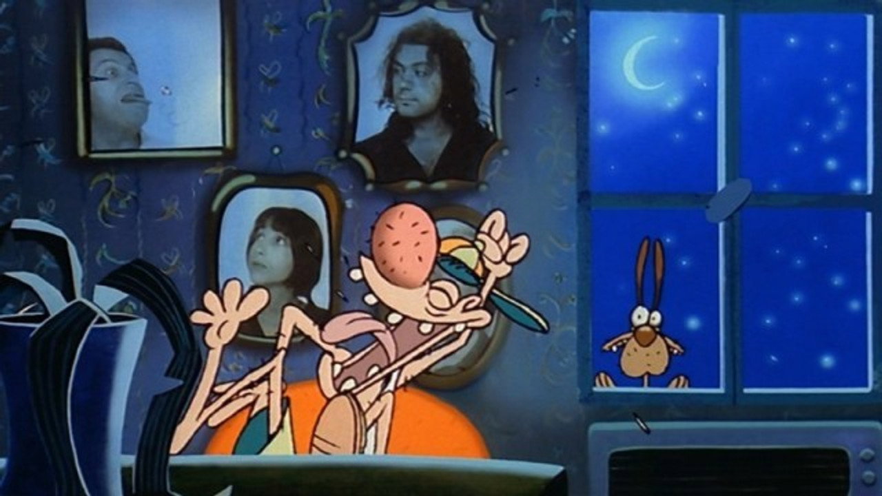 Strangers in the Night