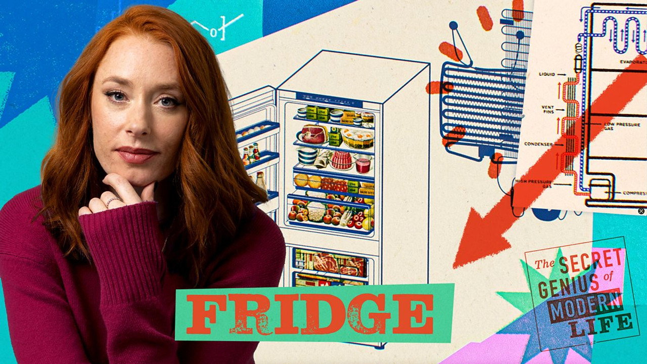 Fridge