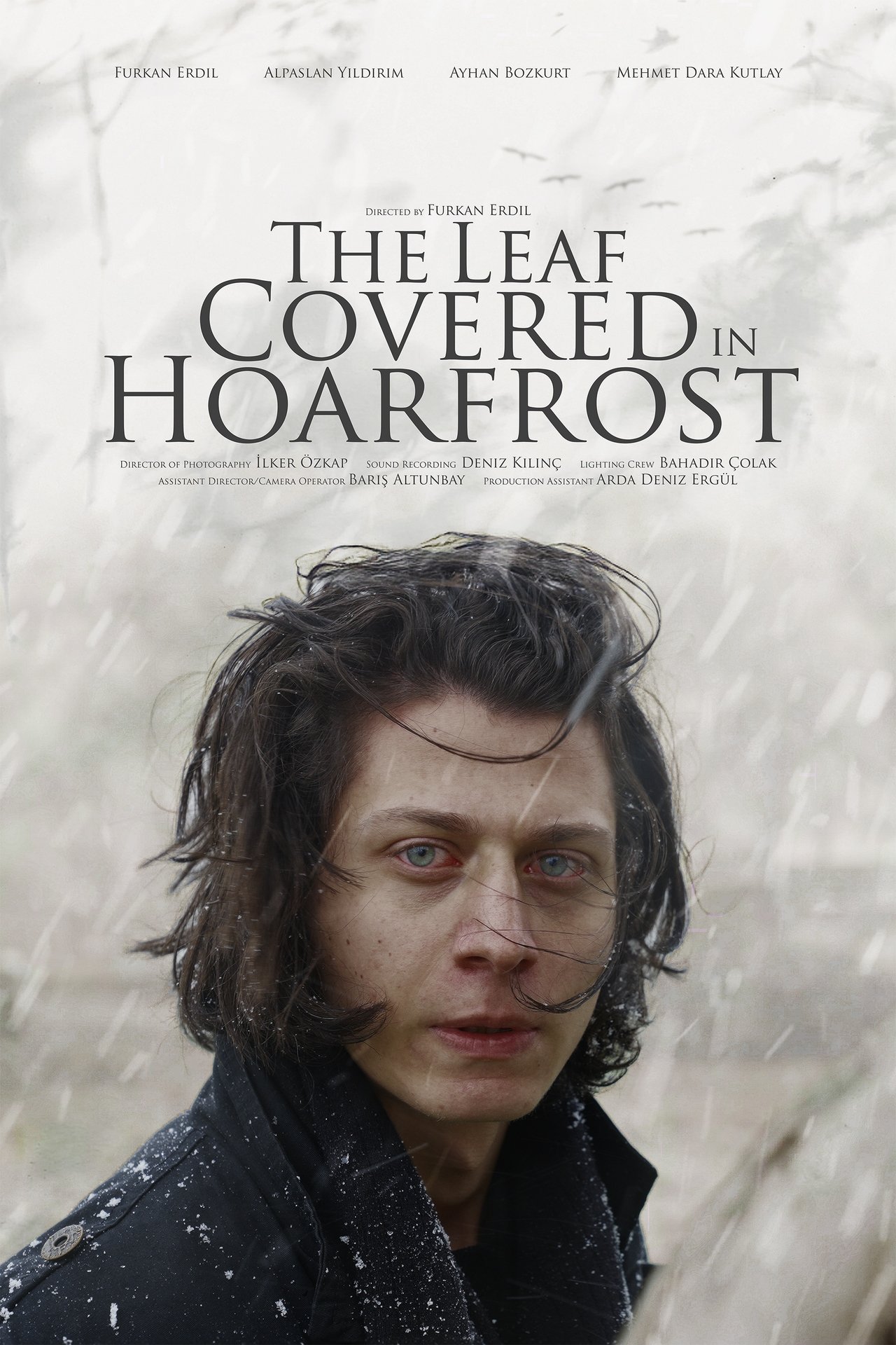 enlarged Poster 0