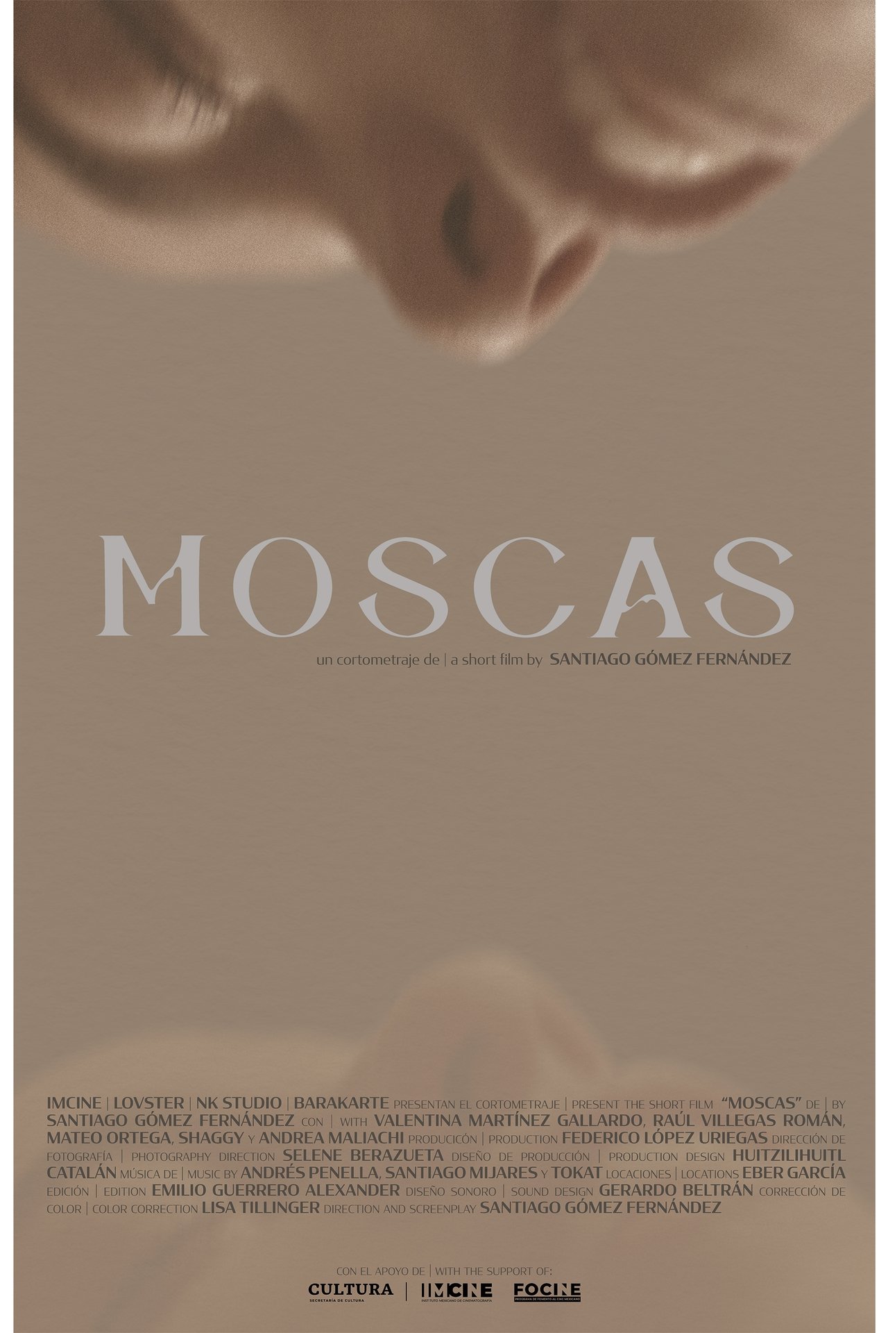 enlarged Poster 0