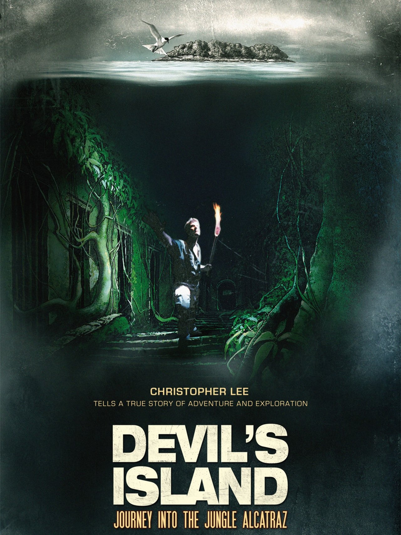 enlarged Poster 0