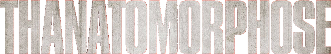 enlarged Logo 0