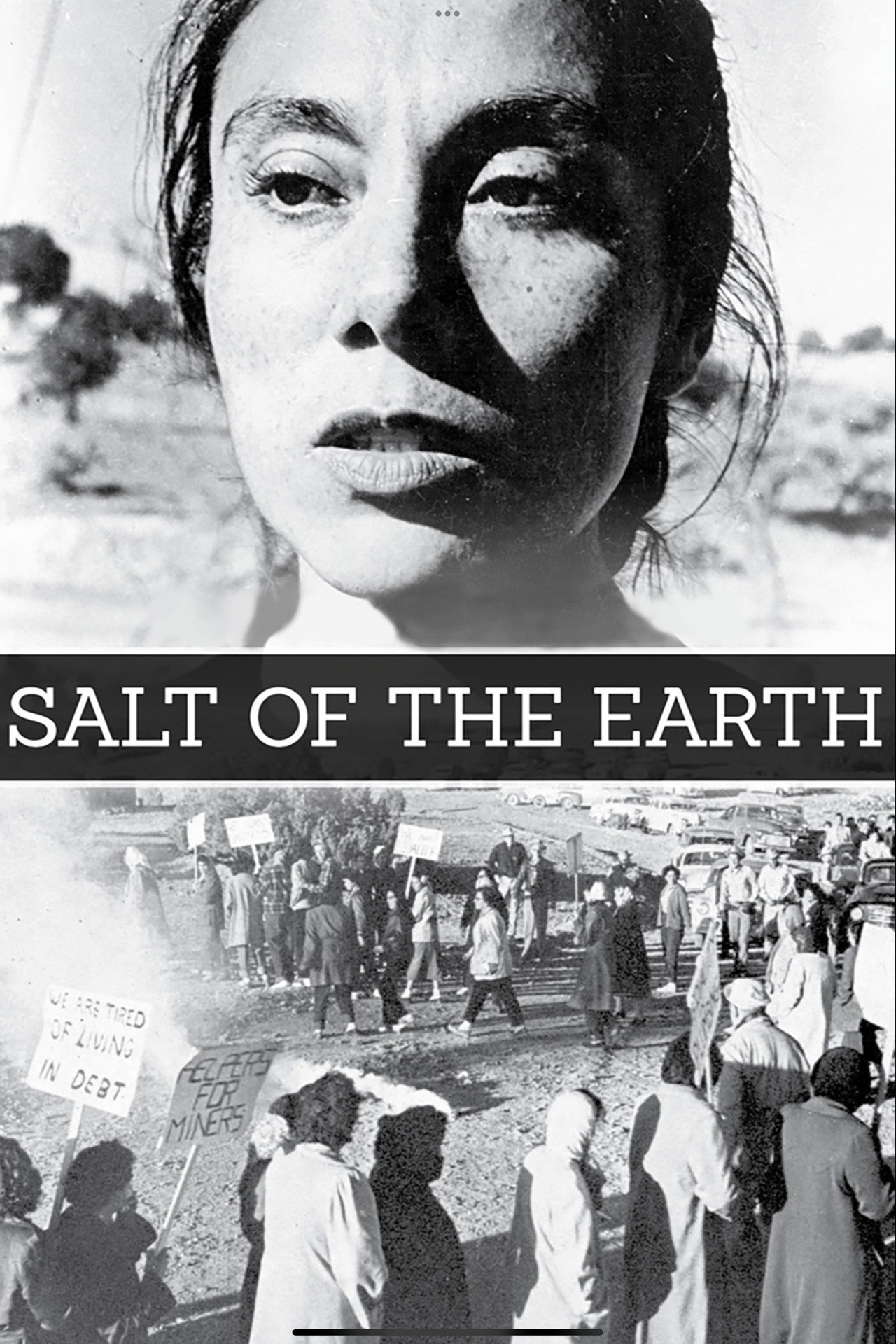 Salt of the Earth