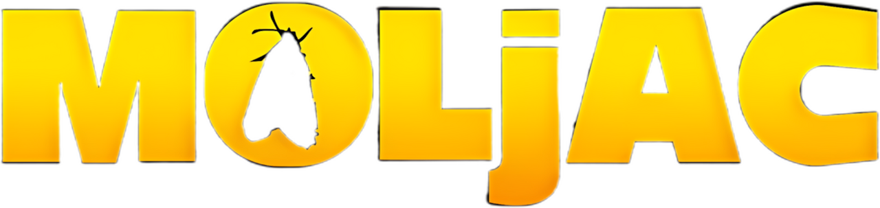 enlarged Logo 0