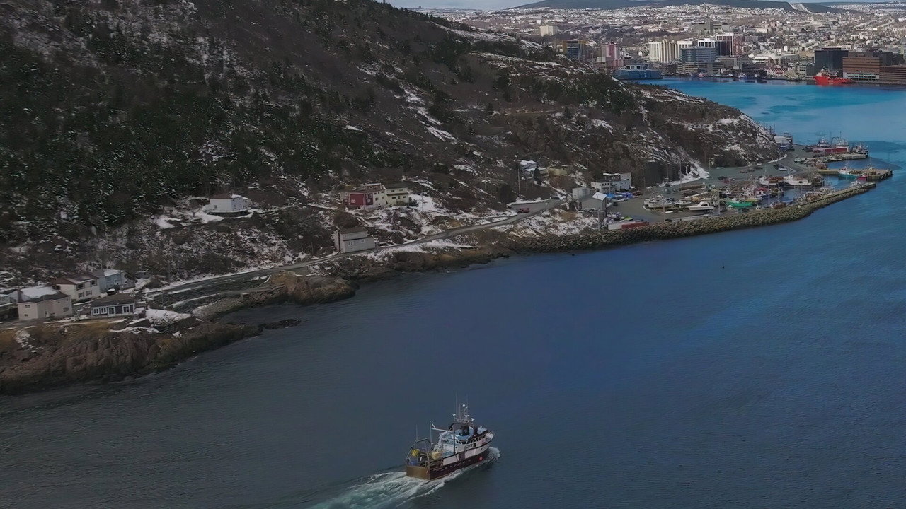 Call Of The Sea