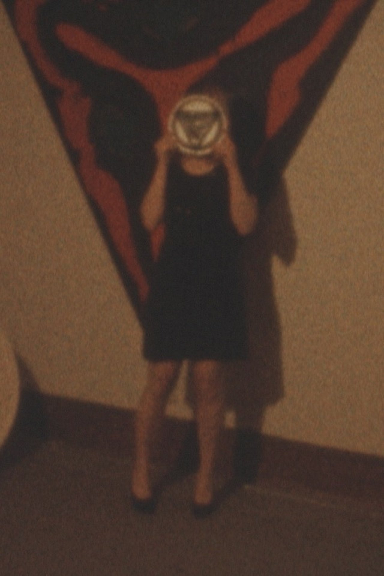 enlarged Poster 0