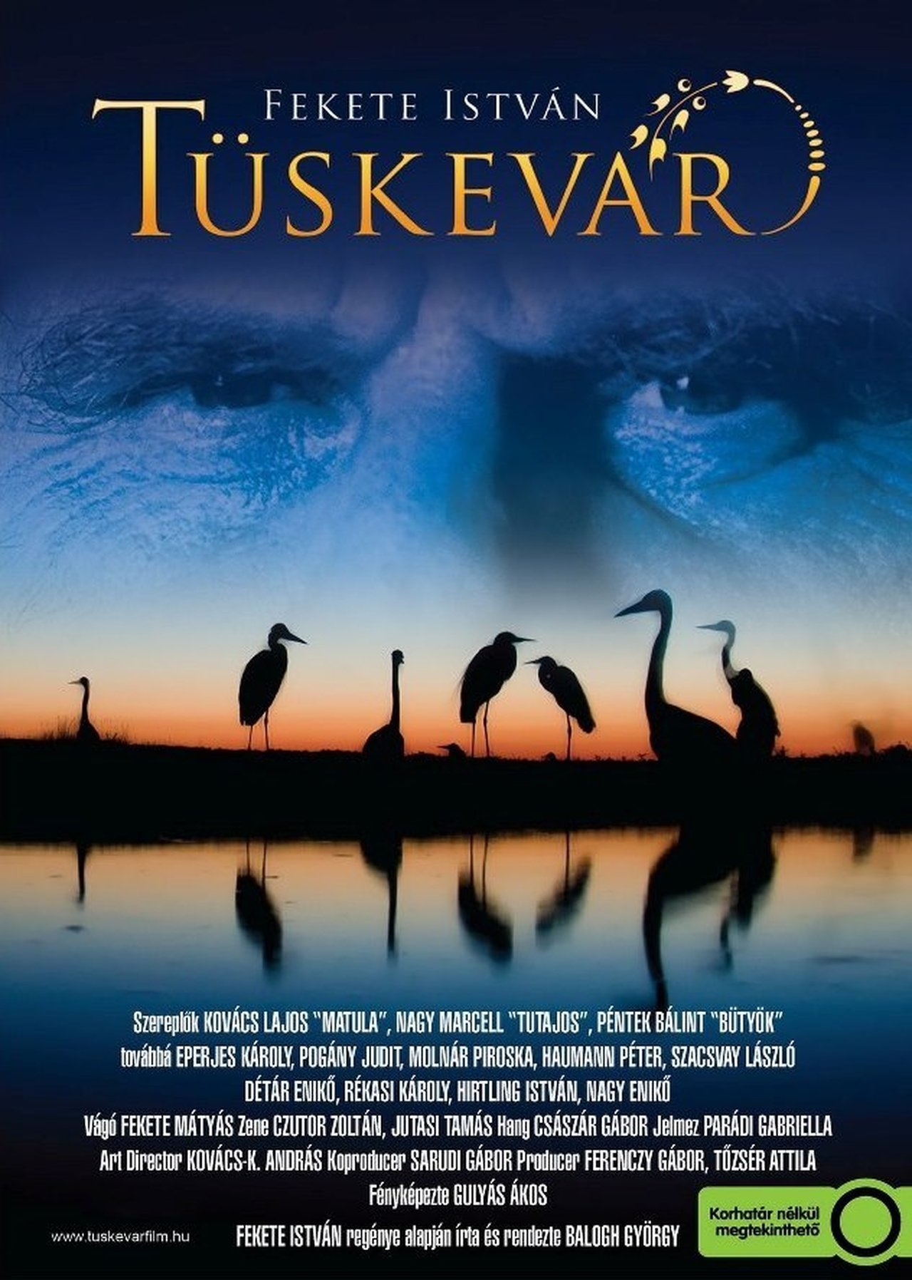enlarged Poster 0