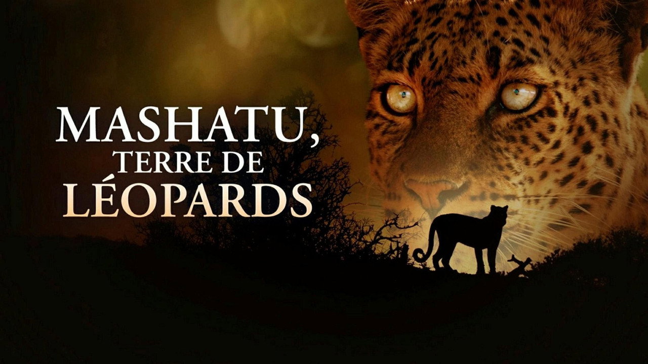 backdrop Mashatu: Land of Leopards