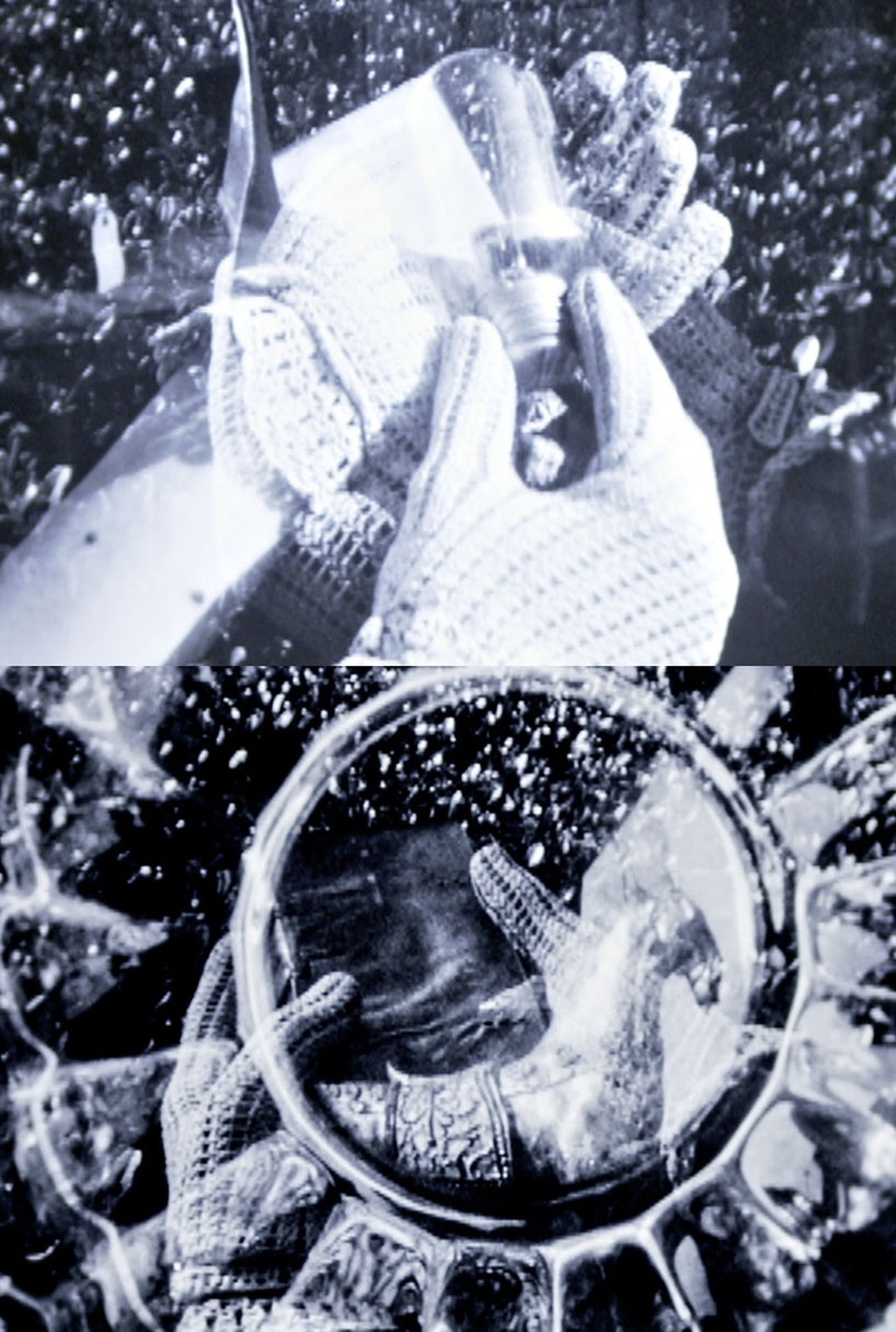 enlarged Poster 0