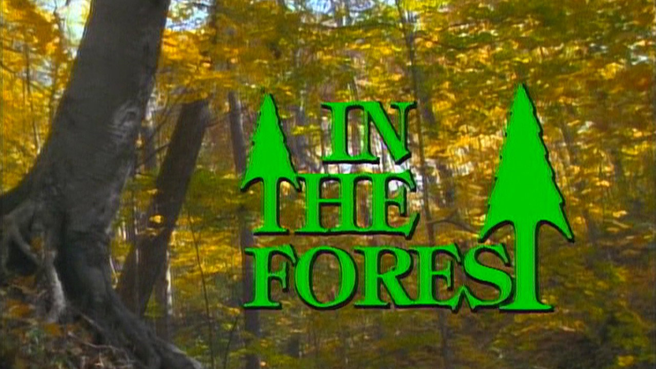 In the Forest