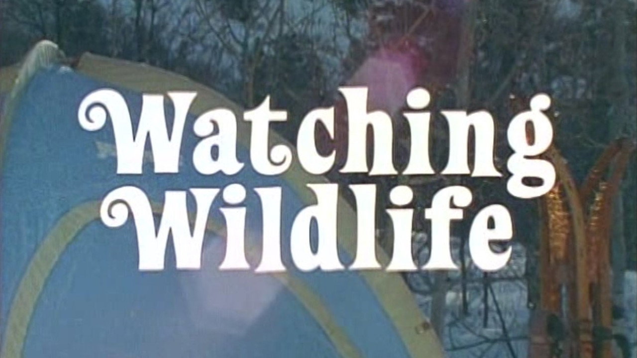 Watching Wildlife