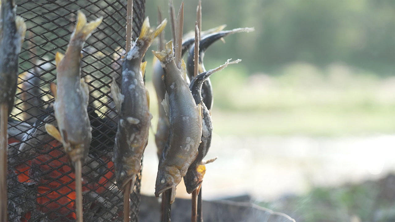For the Love of Akigawa's Sweetfish