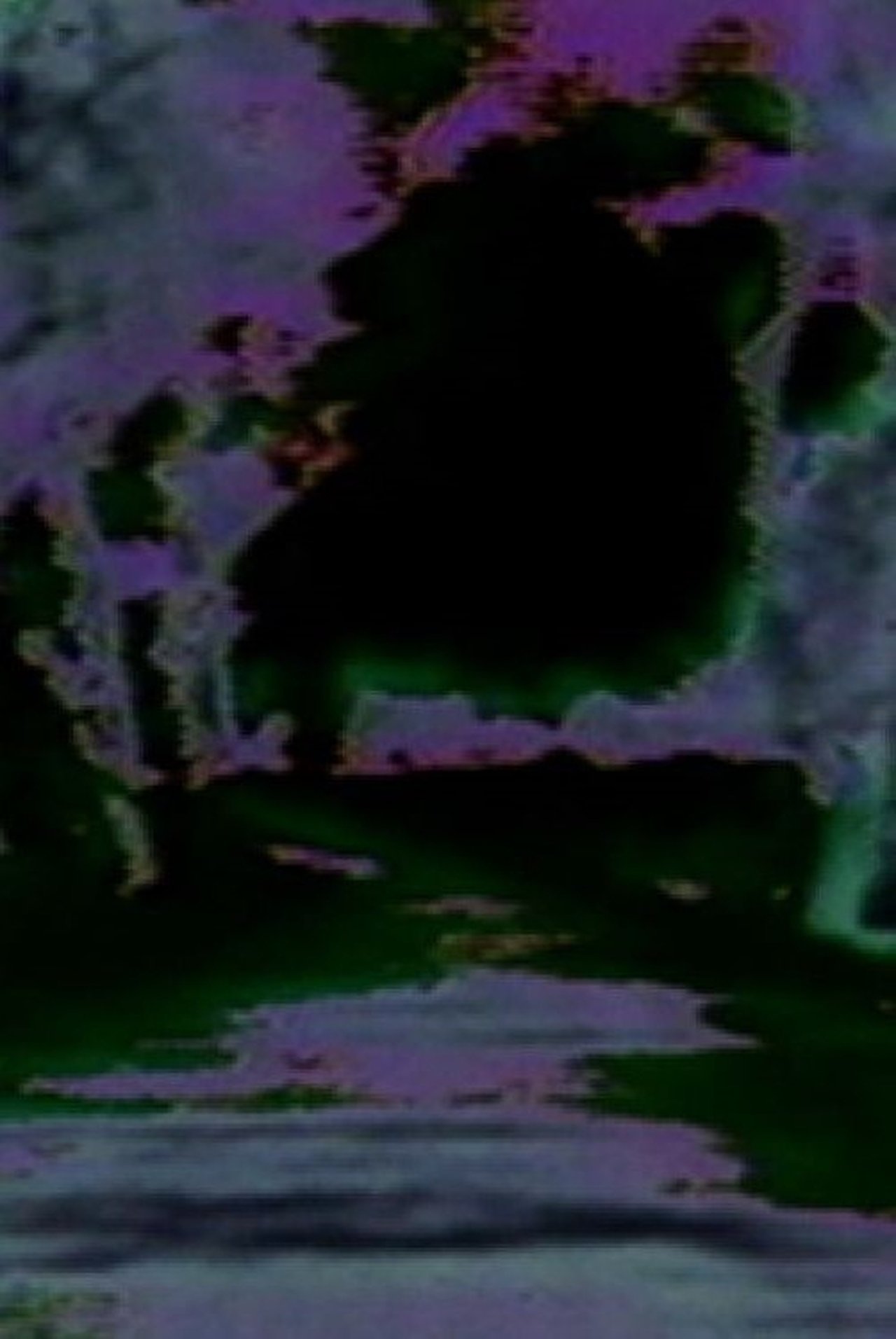 enlarged Poster 0