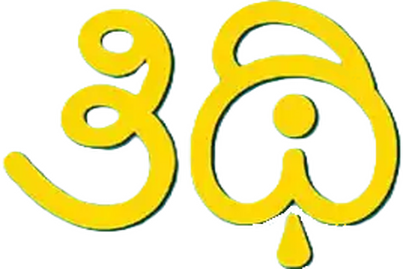 enlarged Logo 0