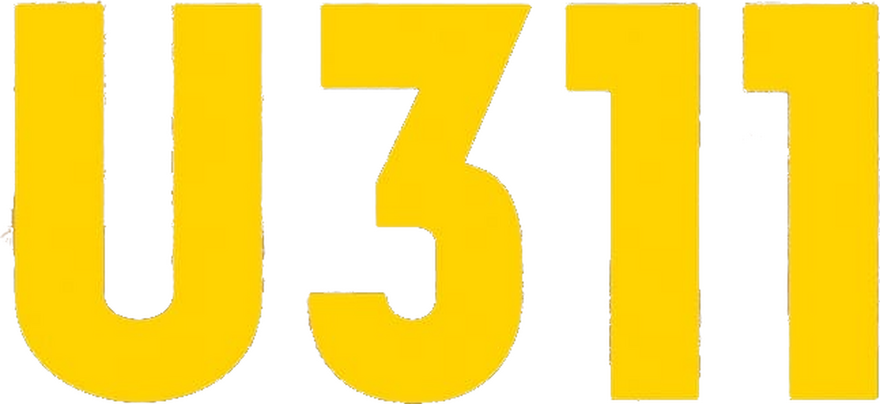 enlarged Logo 0