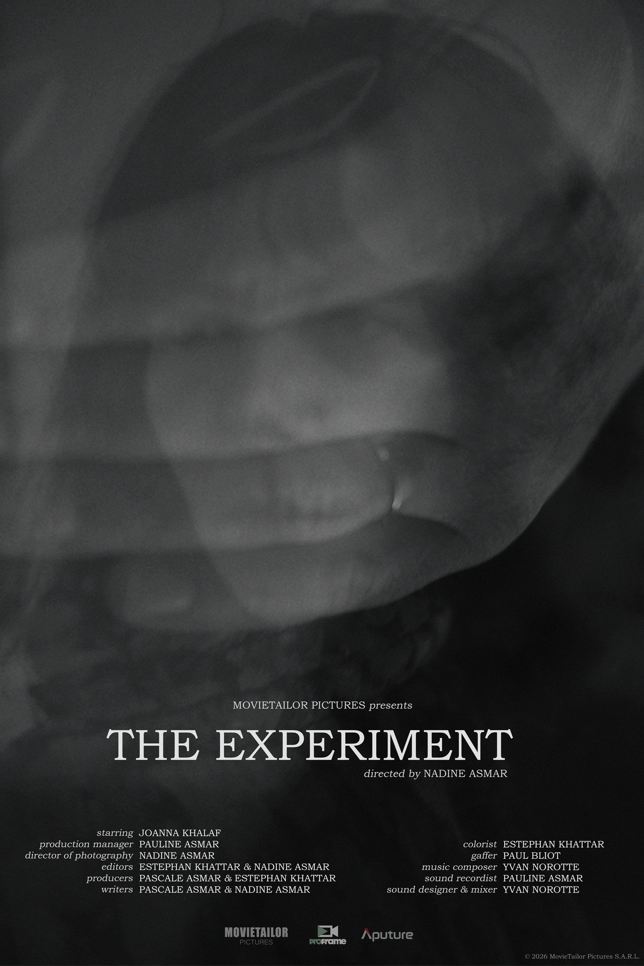 The Experiment