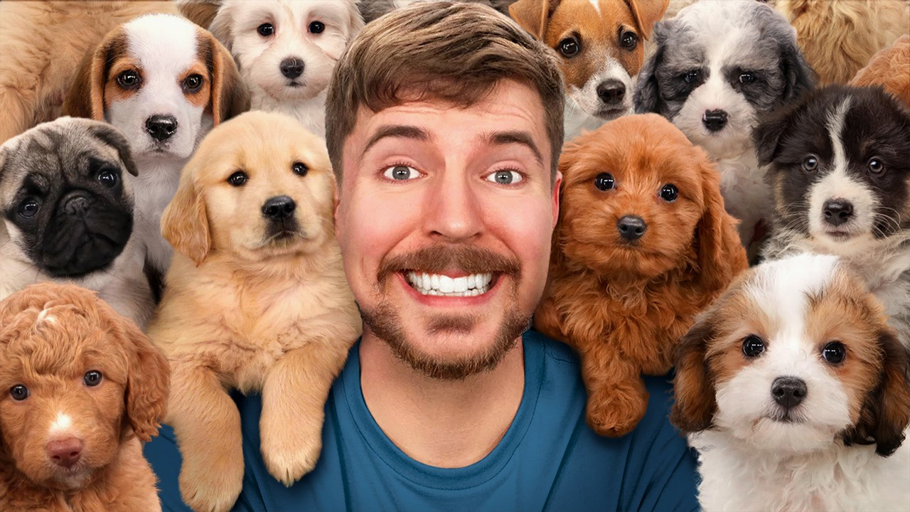 I Saved 100 Dogs