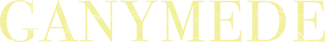 enlarged Logo 0