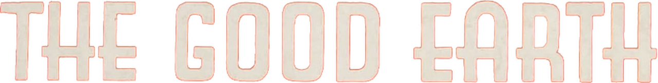 enlarged Logo 0
