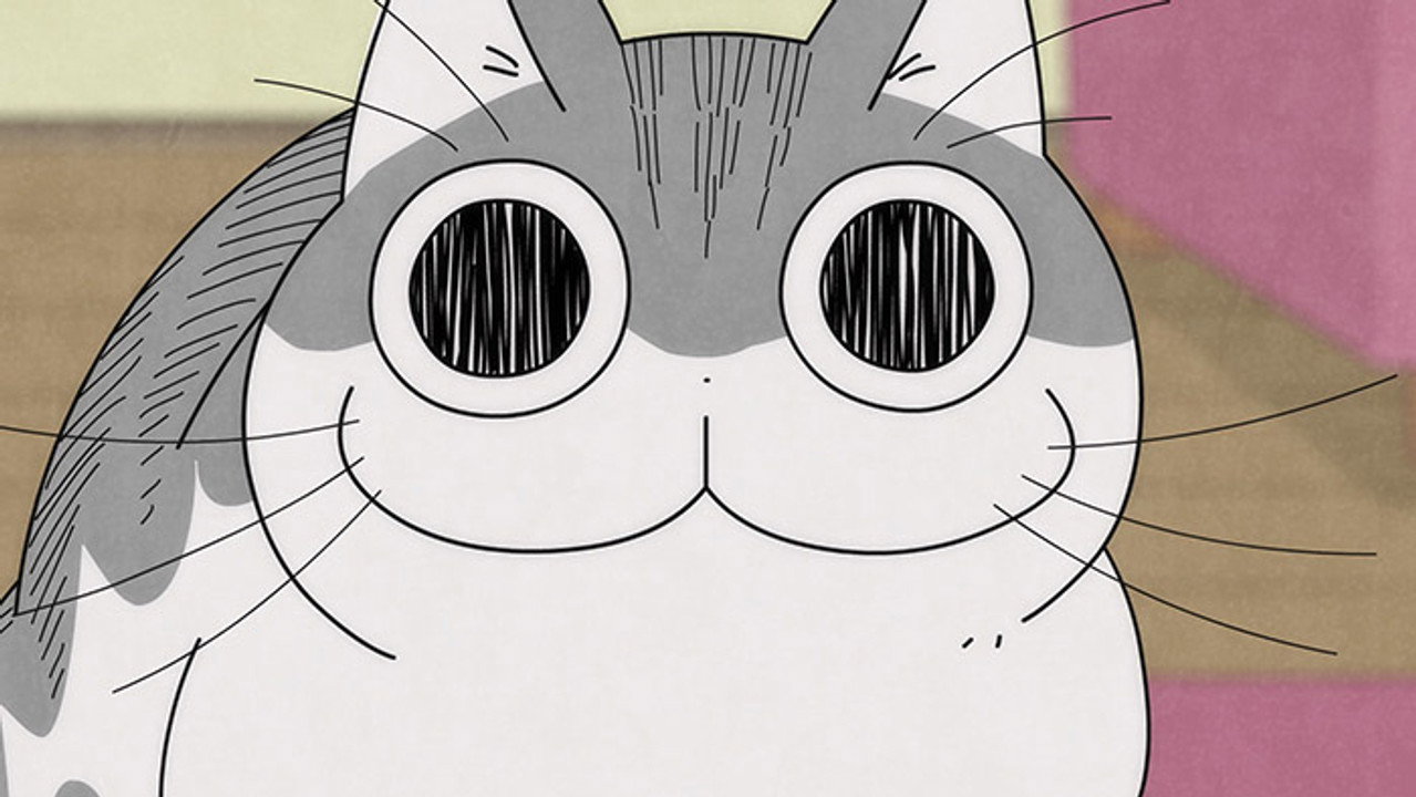 Night 30: The Cat Is Staring at Something