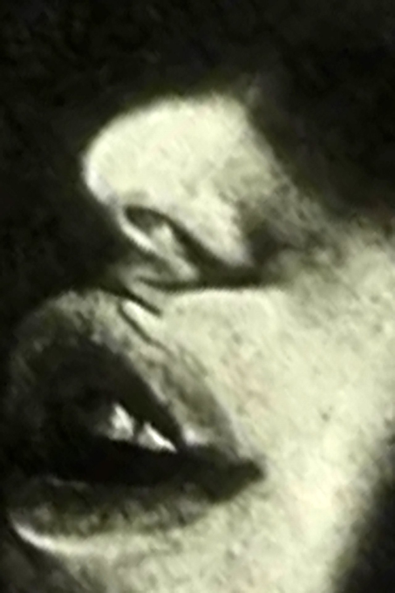 enlarged Poster 0