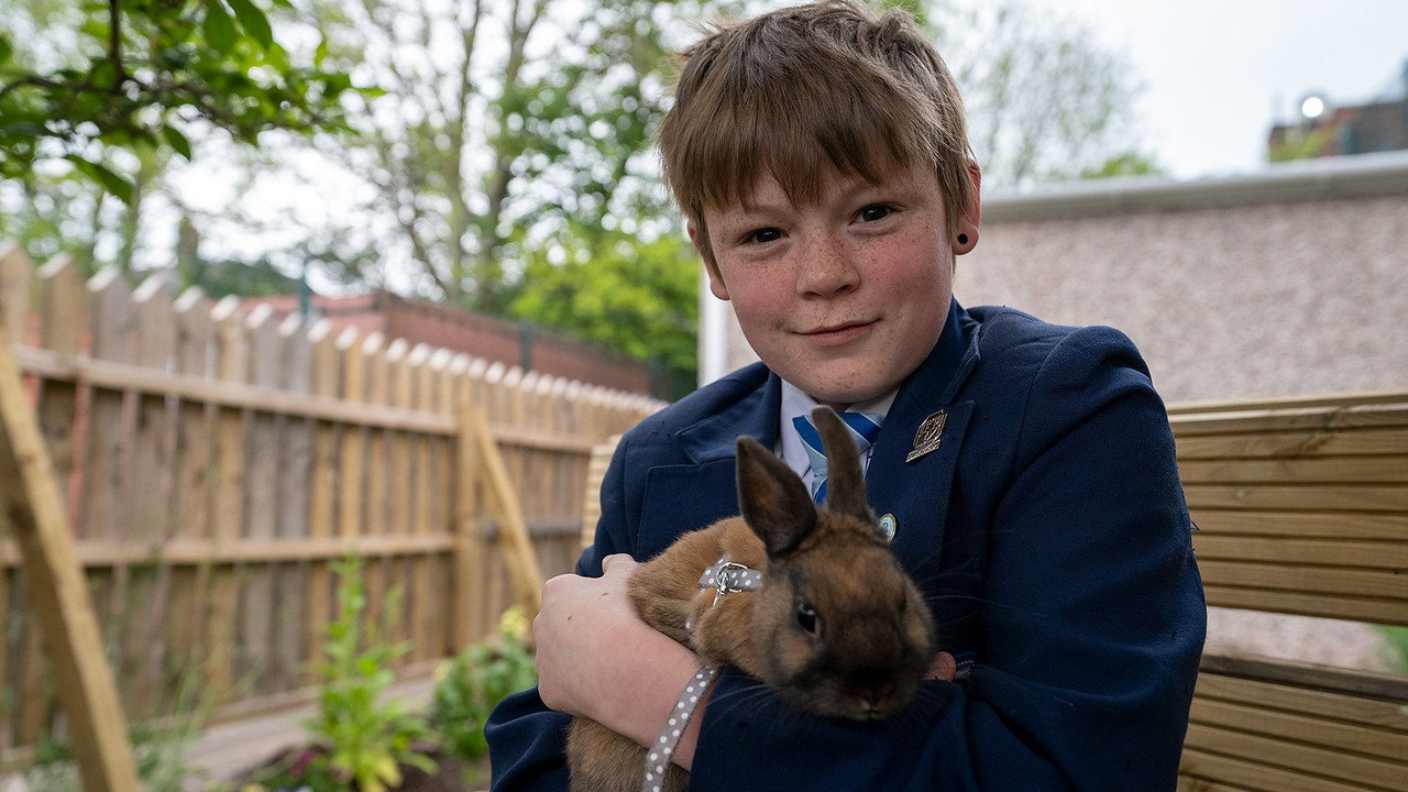 The Rabbit Whisperer