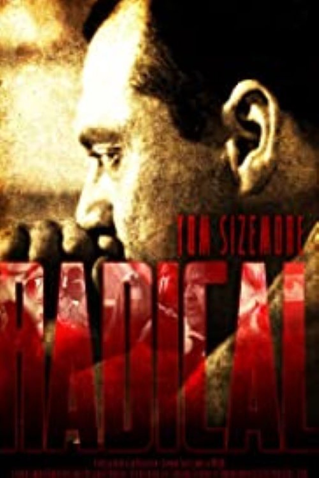enlarged Poster 0