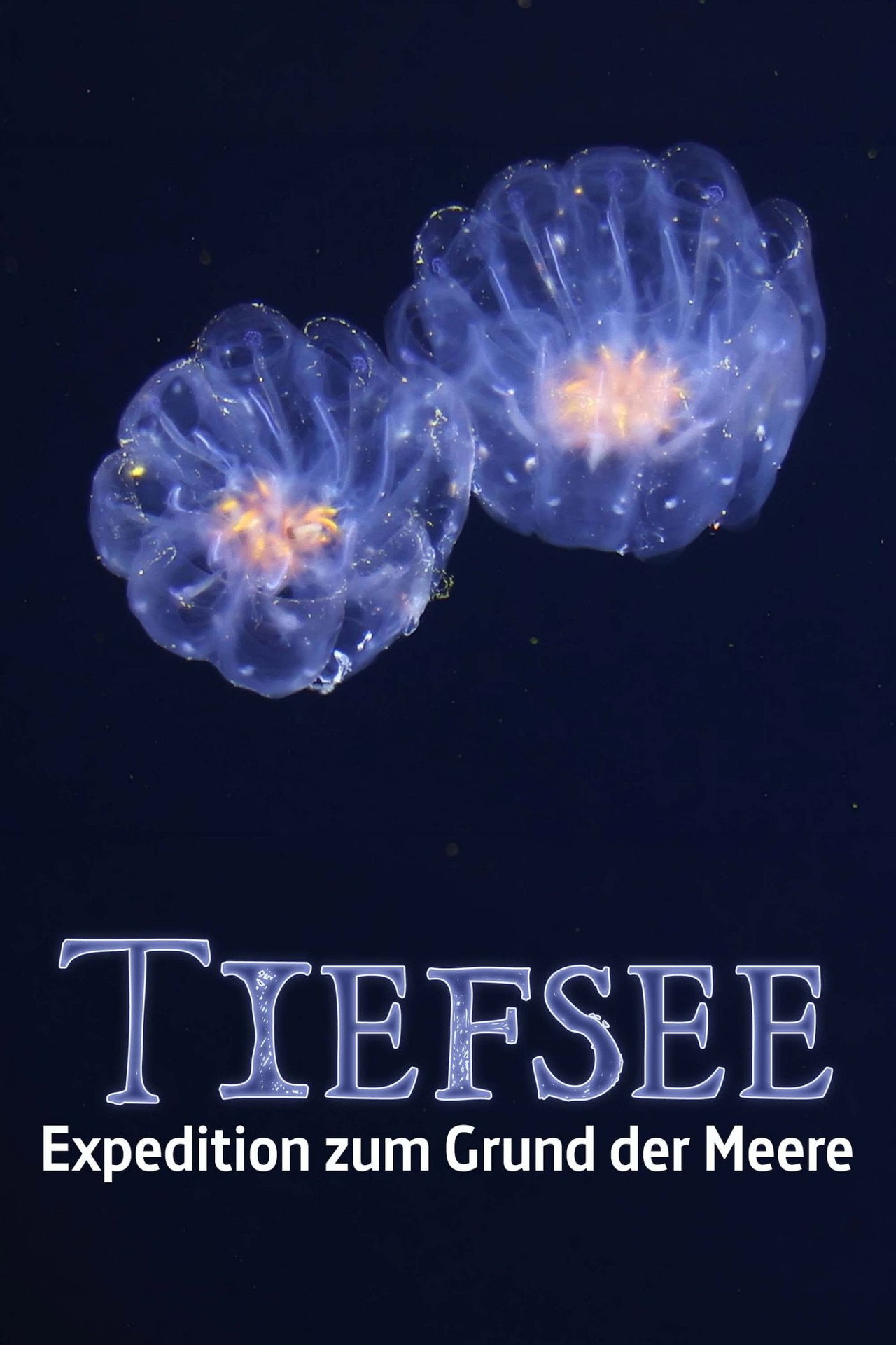 Faszination Tiefsee - Expedition zum Grund der Meere