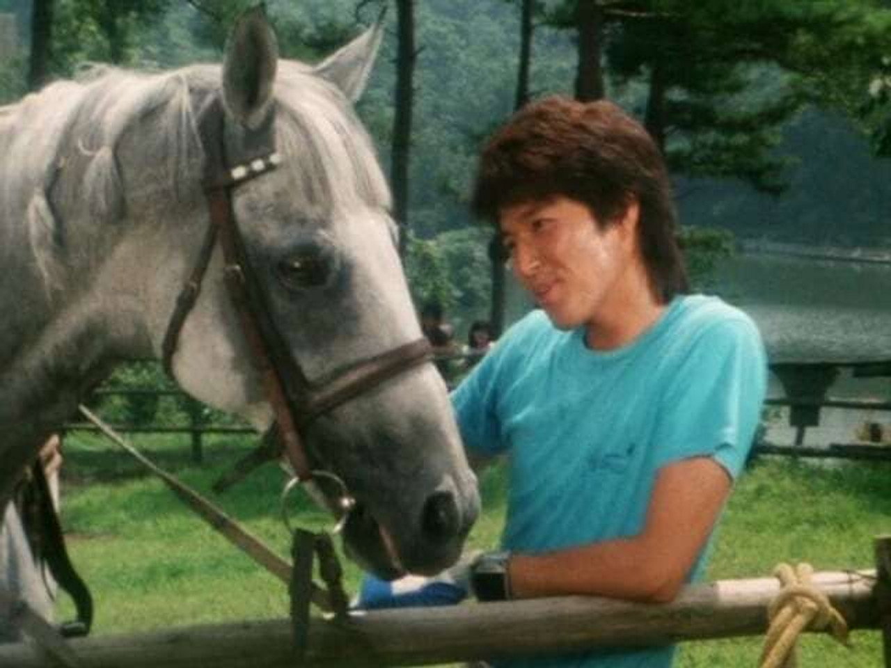 Run! Pegasus!