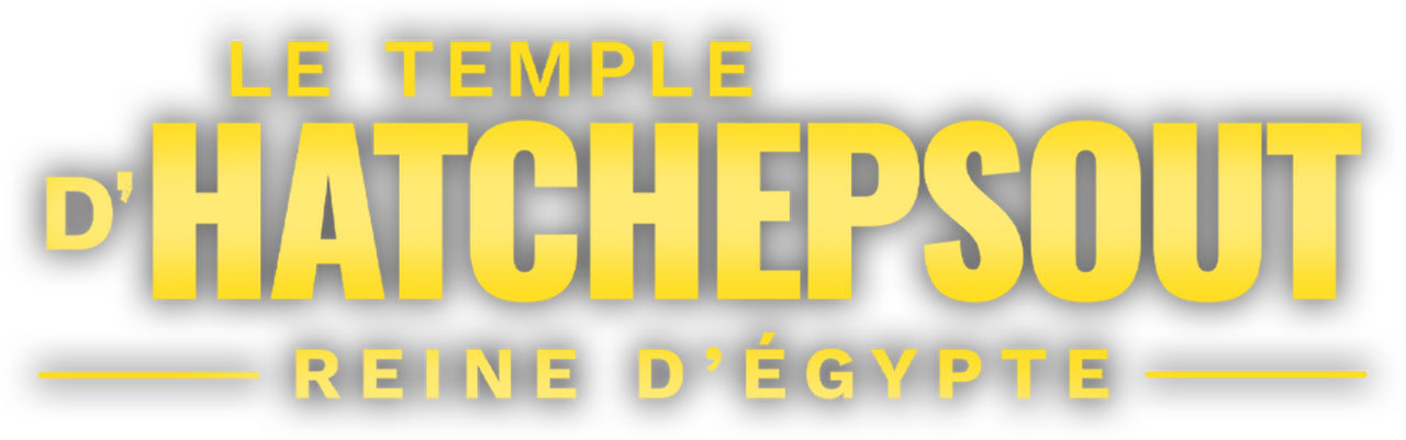 enlarged Logo 0