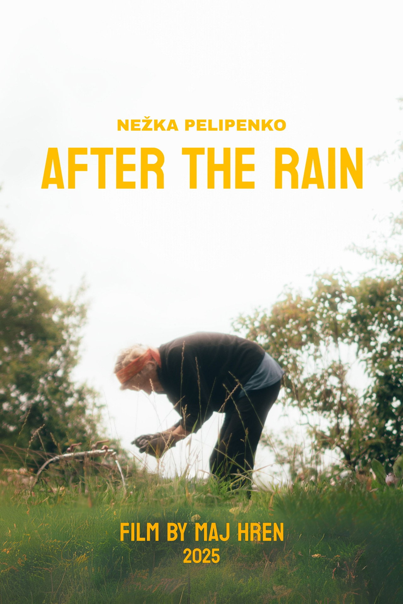 After The Rain