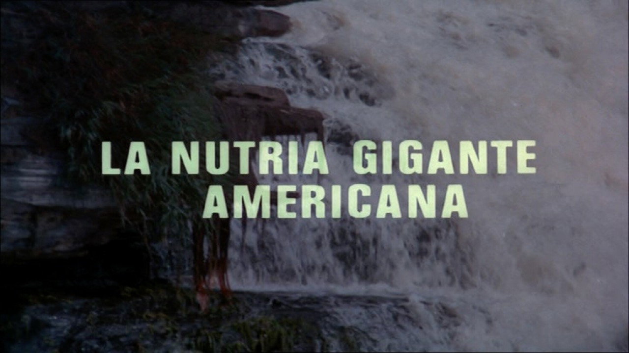 The Giant Otter