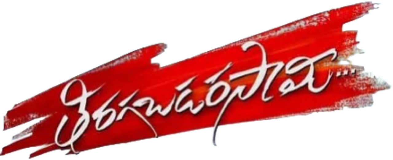 enlarged Logo 0