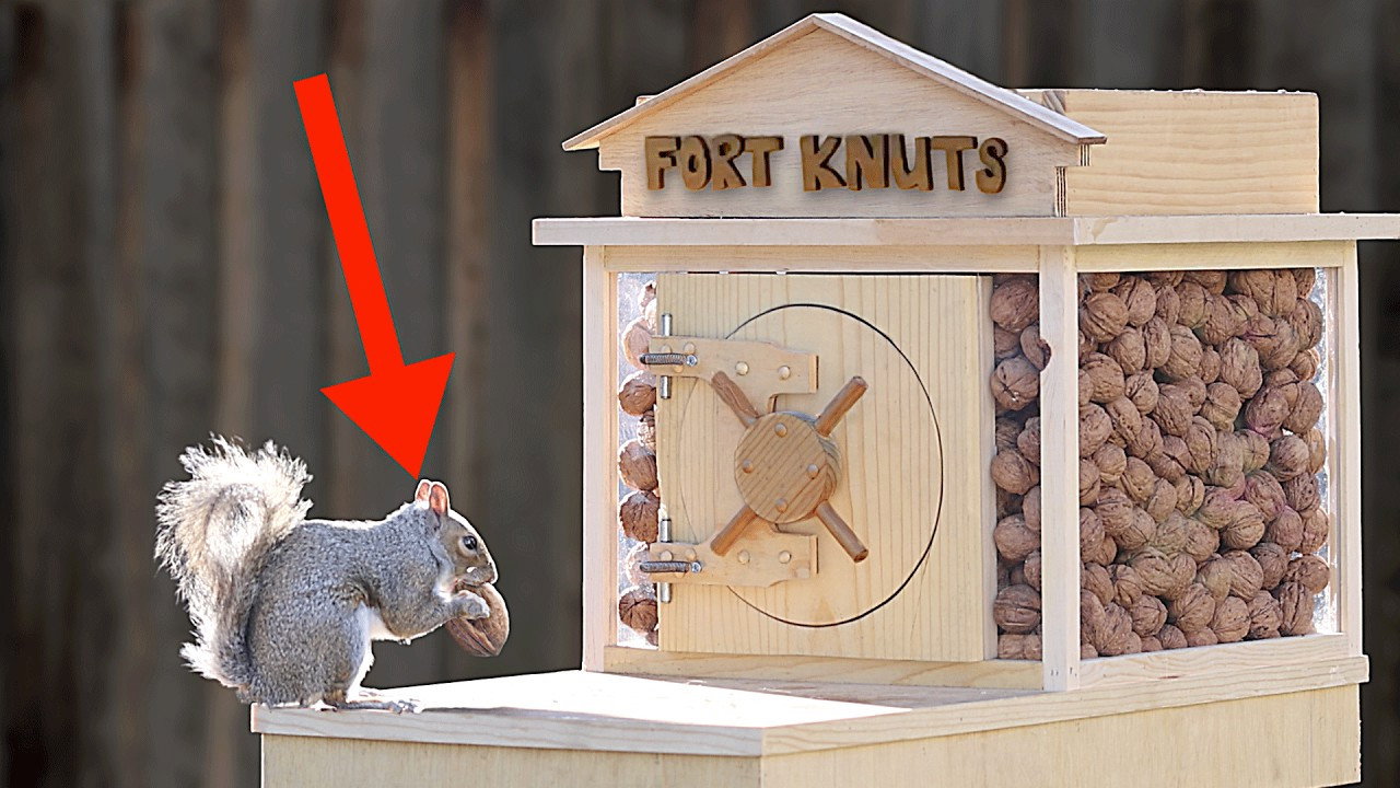 Backyard Squirrel 2.0 - Bank Heist