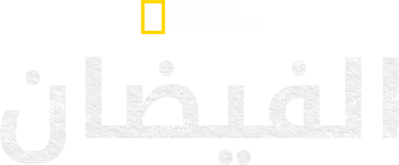 enlarged Logo 0