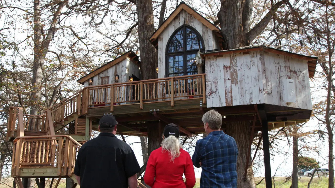 Treehouse Utopia
