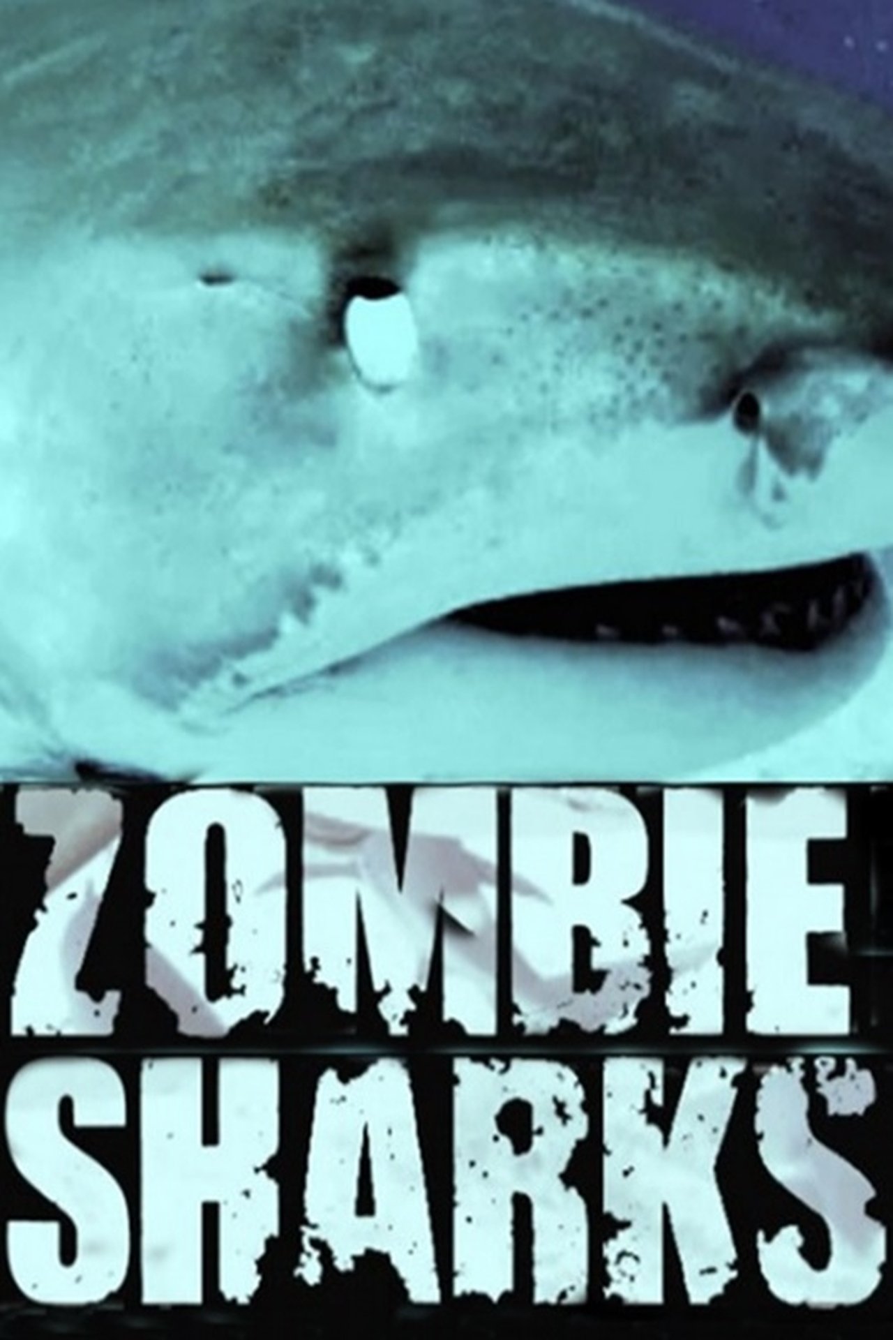 enlarged Poster 0