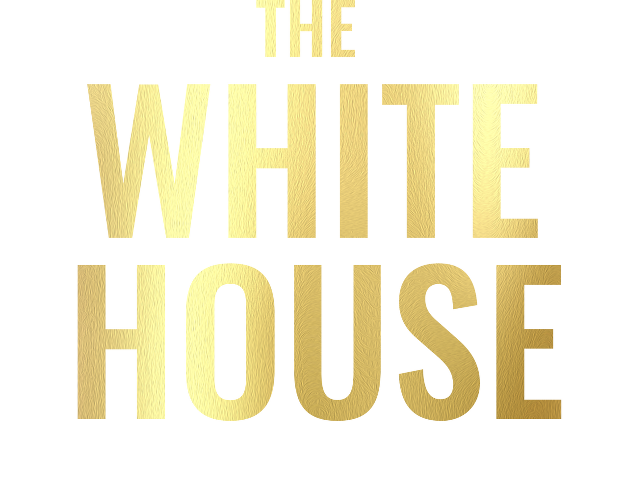 enlarged Logo 0