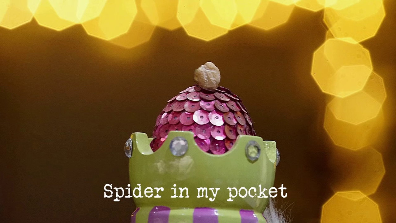 Champion of Champions 2024 : Spider in My Pocket