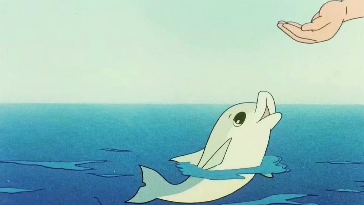 My Friend Little Dolphin