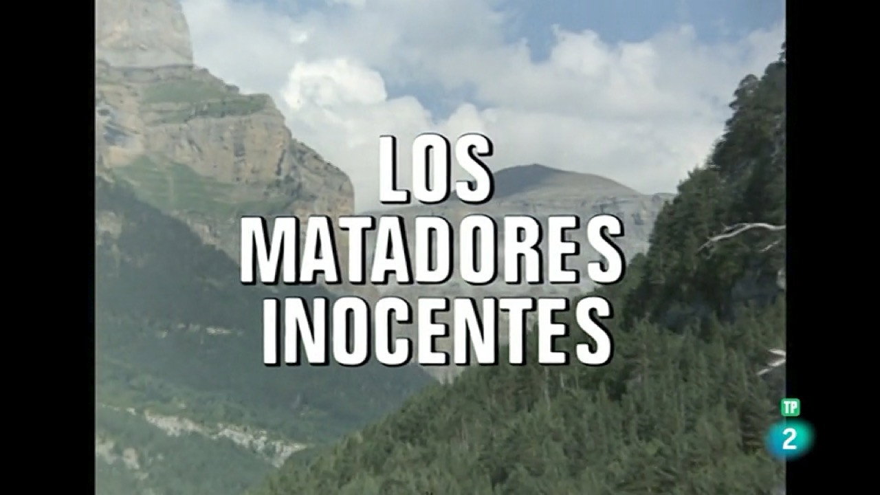 Innocent Killers