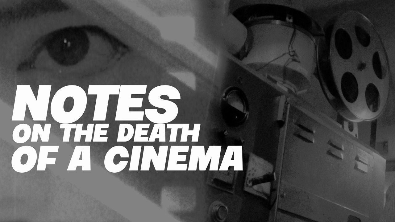 backdrop Notes on the Death of A Cinema