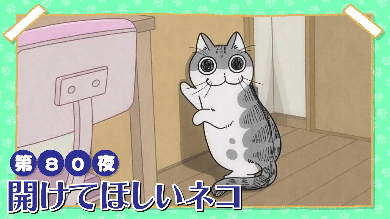 Night 80: The Cat Who Wants the Door Opened