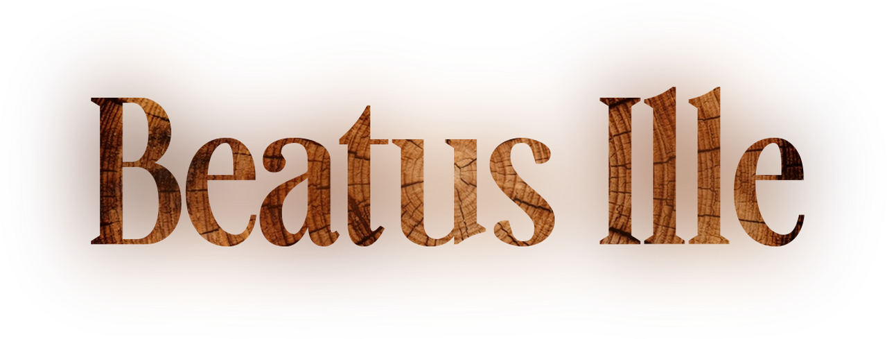 enlarged Logo 0